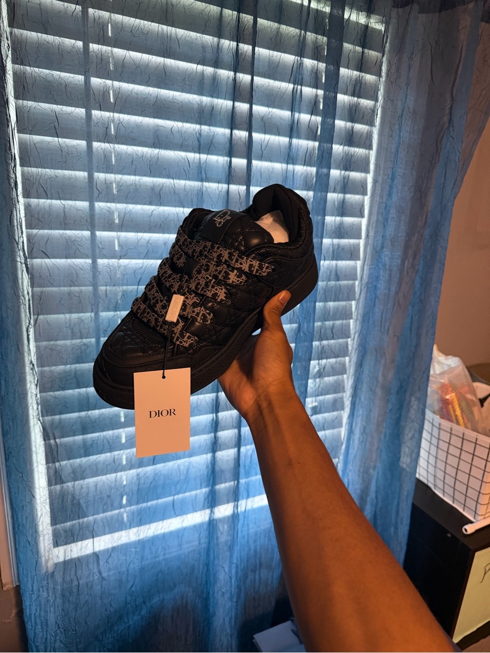 Dior b9 sneakers